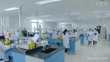 化验室<strong>生物</strong>细胞培养实验