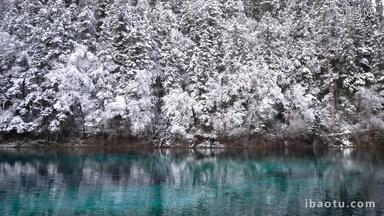 冰川湖水雪山树原始森林自然风光