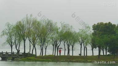 杭州萧山湘湖景区春天春雨