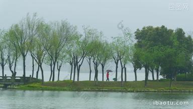 杭州萧山湘湖景区春天春雨
