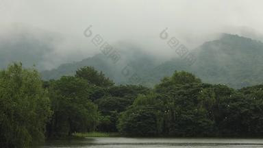 杭州湘湖初夏雨季水鸟白鹭