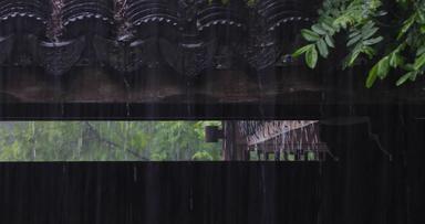 江南园林庭院雨季下雨雨滴空镜