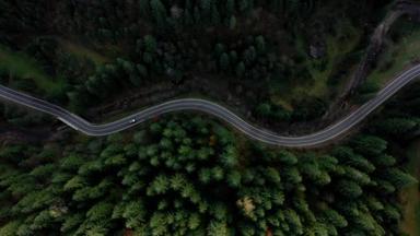 高速公路穿过乌克兰喀尔巴阡山脉的一个成熟的云杉森林。空中飞行