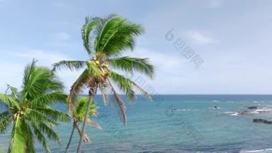 <strong>夏</strong>威夷岛热带地区的美丽与海洋海岸背景镜头。美丽的风景高耸着绿色的椰子树，在阳光灿烂的<strong>夏</strong>日里摇曳着美丽的海洋热带天堂，<strong>夏</strong>威夷之旅