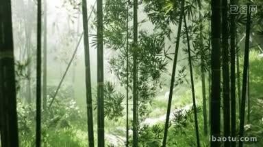 竹林绿油油视频