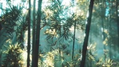 阳光充足的亚洲竹林