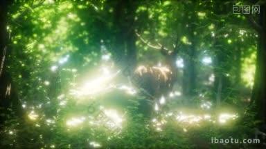 在绿色的森林里,<strong>大红</strong>鹿