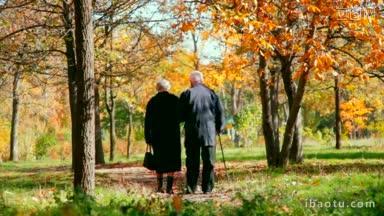 老夫妇挽着手在秋天的公园散步