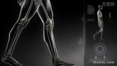 行走的人，膝盖<strong>扫描</strong>界面在循环