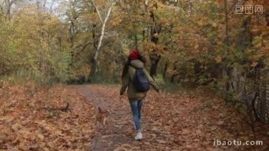 后视图的时髦的长棕色头发时髦的女孩与可爱的狗狗狗在秋天的公园里跑步迷人的年轻女子