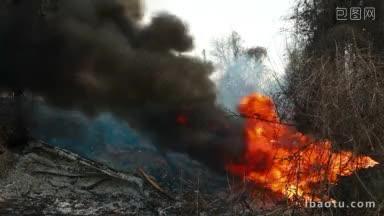 路边的大火烧毁了树木和一个汽车轮胎