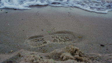 特写镜头蓝色的海波水洗脚跟踪沙子海滩自然背景