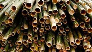 轮交叉切片<strong>竹子</strong>树干包堆栈准备建筑建设材料亚洲自然纹理桩把树森林<strong>砍</strong>伐概念装饰家具源