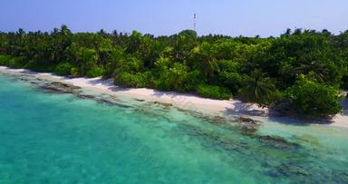 原始的私人假期岛丰富的植被树中间加勒比海