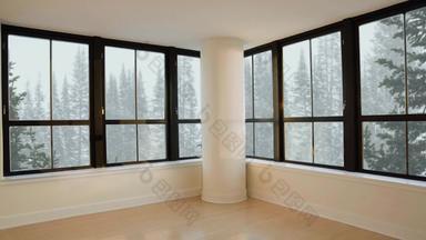 视图窗口空房间冬天降雪松柏科的森林