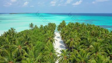 热带开销复制空间拍摄天堂阳光明媚的白色沙子海滩蓝色的水背景高决议