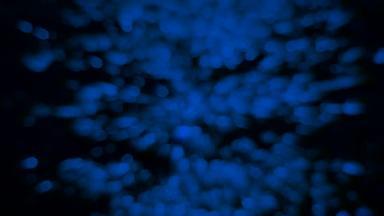 模糊散景反射<strong>光</strong>黑暗蓝色的水表面