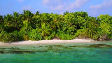阳光明媚的旅游田园海岸海滩旅行阿卡蓝色的水白色桑迪背景手掌