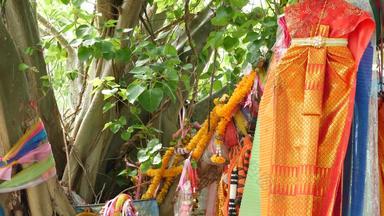 色彩斑斓的提供衣服树坛群明亮的传统的衣服礼物泰国精神挂树分支机构<strong>万物</strong>有灵论坛