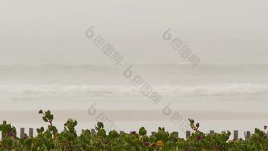 桑迪有雾的海滩加州美国太平洋海洋海岸密集的雾海海岸波布鲁姆阴霾