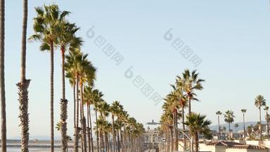 棕榈树的角度来看<strong>海滨</strong>加州<strong>海滨</strong>太平洋海洋热带海滩度假胜地美国