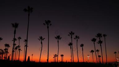 加州夏季黄昏《暮光之城》审美紫色的戏剧性的日落棕榈树标志性的轮廓著名的威尼斯海滩圣诞老人莫妮卡太平洋海洋度假胜地这些洛杉矶美国大气日落