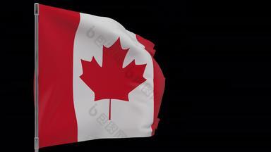 加拿<strong>大国</strong>旗