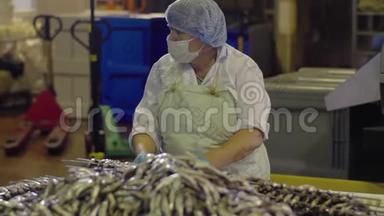 鱼串在烤串上抽烟。 海洋食品制造、养鱼厂、食品厂加工鱼类