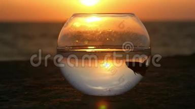 日落时，一条小鱼贝塔鱼在海边的一个圆形<strong>鱼缸里</strong>漂浮着。 环境概念
