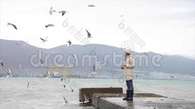 年轻女子正在喂海鸥。 多<strong>风天</strong>气的海滨