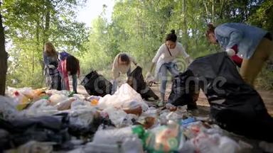 志愿者们在夏日的森林<strong>垃圾</strong>堆里<strong>分类垃圾</strong>、可回收材料和回收