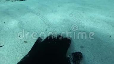 令人惊叹的沙海底部慢镜头，水獭的手在那里升起底部。 潜水自由潜水