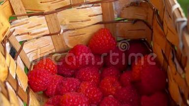 靠近一个浆果落入桦树篮，满是成熟的红树莓
