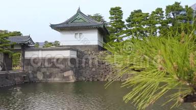 东京故宫护城河上松树的潘视频