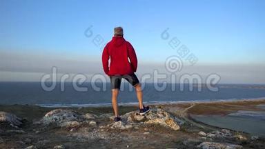 一个穿着红色夹克衫的苗条男子站在一座高山上，迎风招展，看着天空中的一只飞鸟