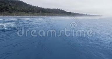 美国华盛顿奥林匹克国家公园鲁比海滩浅水放灰鲸泉的镜头