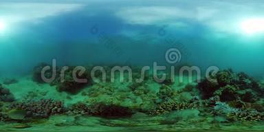 珊瑚礁带鱼水下<strong>360</strong>VR.. 菲律宾Camiguin