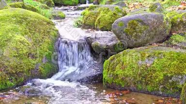 在茂密的<strong>苔藓</strong>和茂盛的<strong>植被</strong>之间有清澈的水流的风景。 青苔坡上的山溪，清新