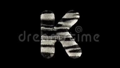 动物图片动画斑马动物园文字字体K