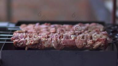 准备户外烧烤用的肉。 在木炭烤架上关闭肉烧烤。 用木炭烧烤。