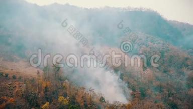 丛林大火的烟雾。 森林砍伐和气候危机。 热带雨林大火产生的有毒烟雾。 空中视频4k。