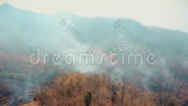 森林大火的烟雾。 森林砍伐和气候危机。 热带雨林大火产生的有毒烟雾。 空中视频4k。