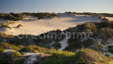 葡萄牙普里亚杜金乔海滩的沙丘