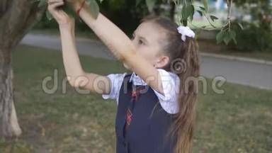 穿校服的女学生摘下一片树叶，仔细检查它。 作业植物学。