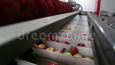 食品加工设施传送带上清洁新鲜的苹果，准备自动包<strong>装</strong>。 健康<strong>水果</strong>、食物