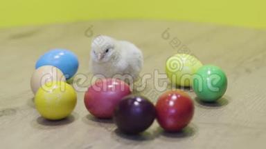 黄色背景上的小鸡和五颜六色的复活节彩蛋。 毛茸茸的小鸡