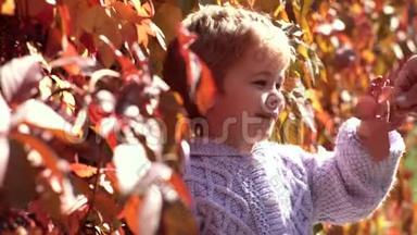 可爱的户外儿童肖像在秋天。 秋天大自然里穿毛衣的漂亮孩子。 秋季儿童户外娱乐活动
