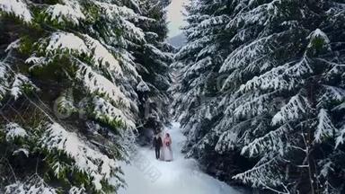 在雪天松林中散步和玩得开心的年轻新婚夫妇的鸟瞰图