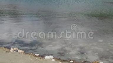 表面的蓝色水波纹背景，岩石和沙子在清澈的水下。