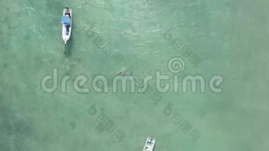 在加勒比海的蓝色水域追踪一名游泳者-空中无人机射击
